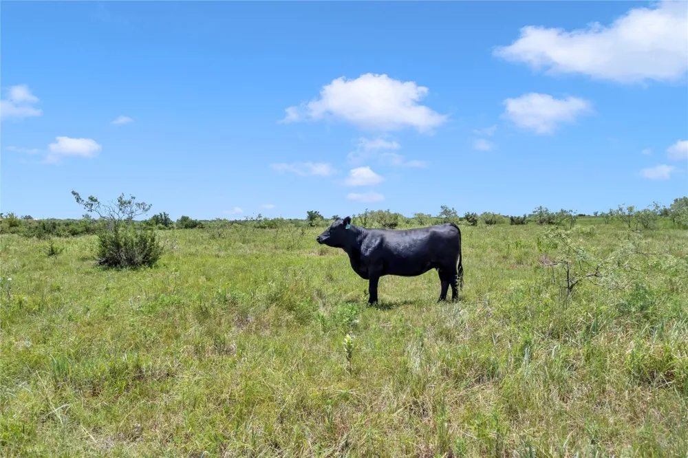 10600 County Road 210 Road Bertram, TX 78605