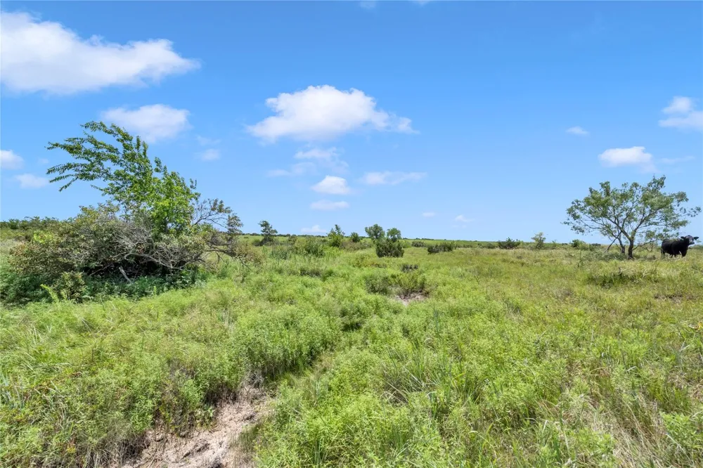 10600 County Road 210 Road Bertram, TX 78605