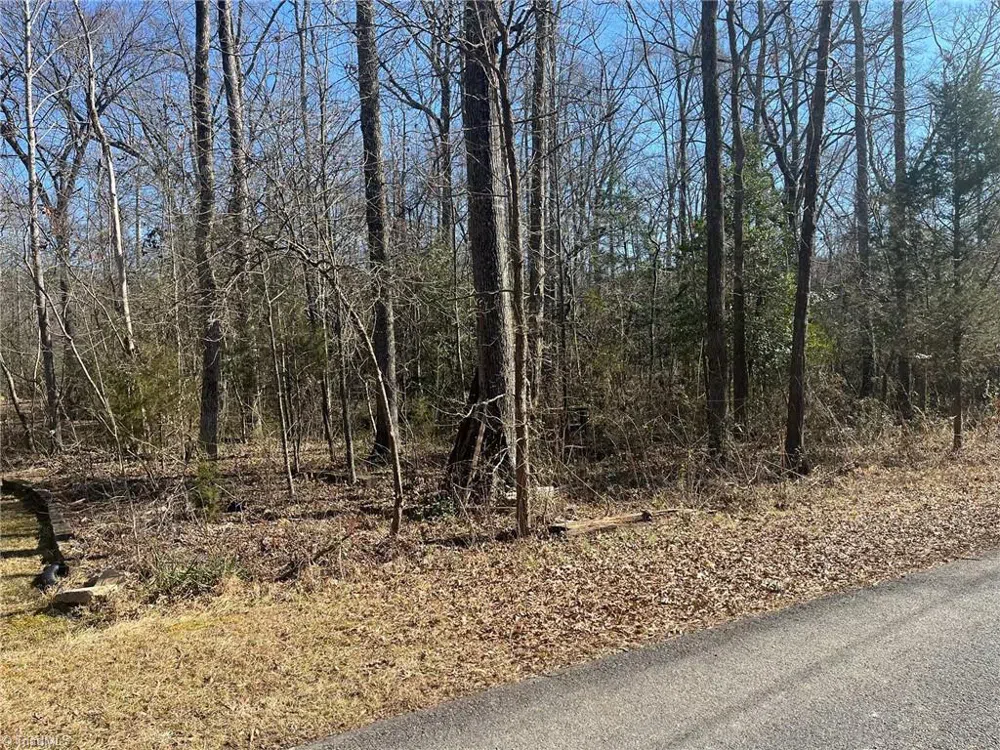0 Playground Lane Salisbury, NC 28146