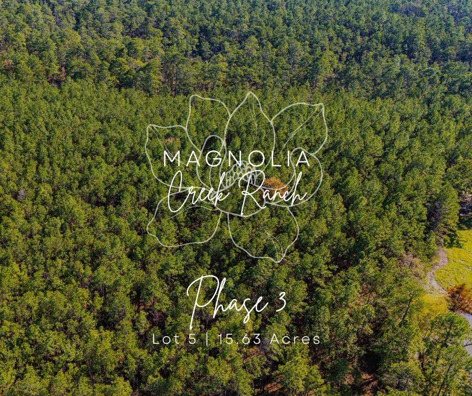 35 Magnolia Ranch Road Road Onalaska, TX 77360