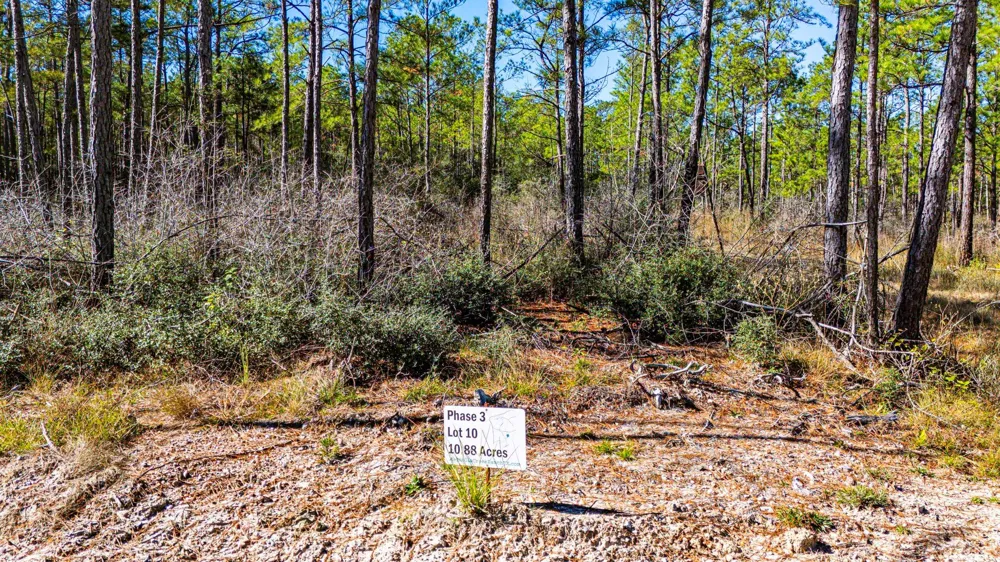 35 Magnolia Ranch Road Road Onalaska, TX 77360