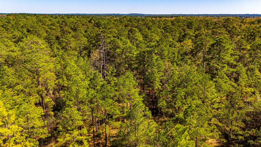 35 Magnolia Ranch Road Road Onalaska, TX 77360