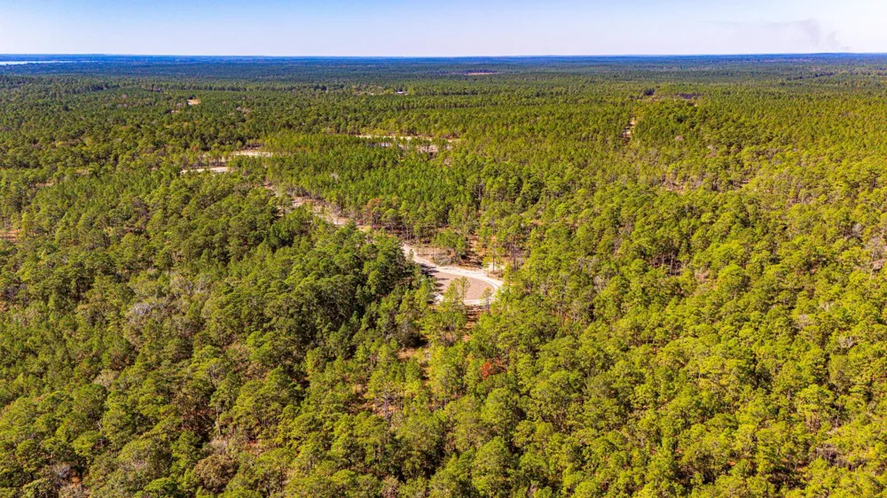 35 Magnolia Ranch Road Road Onalaska, TX 77360