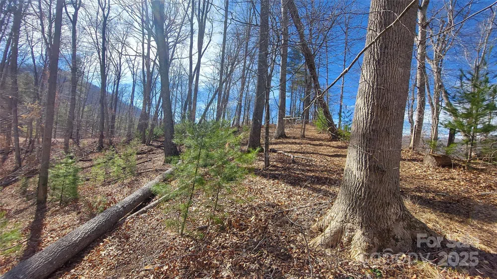 103 Barn Road Burnsville, NC 28714