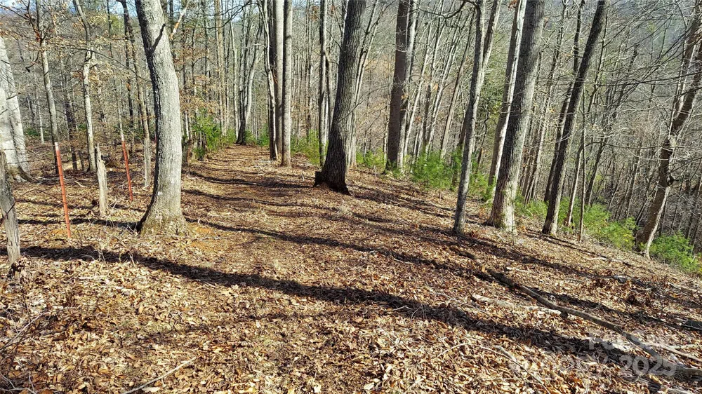 103 Barn Road Burnsville, NC 28714