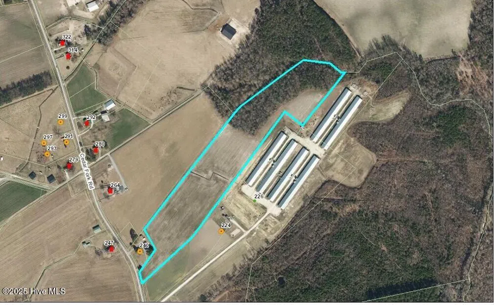 000 Cedar Fork Road Beulaville, NC 28518
