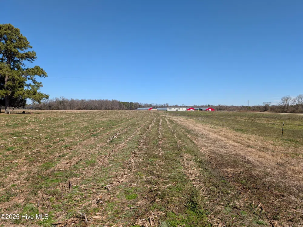 000 Cedar Fork Road Beulaville, NC 28518