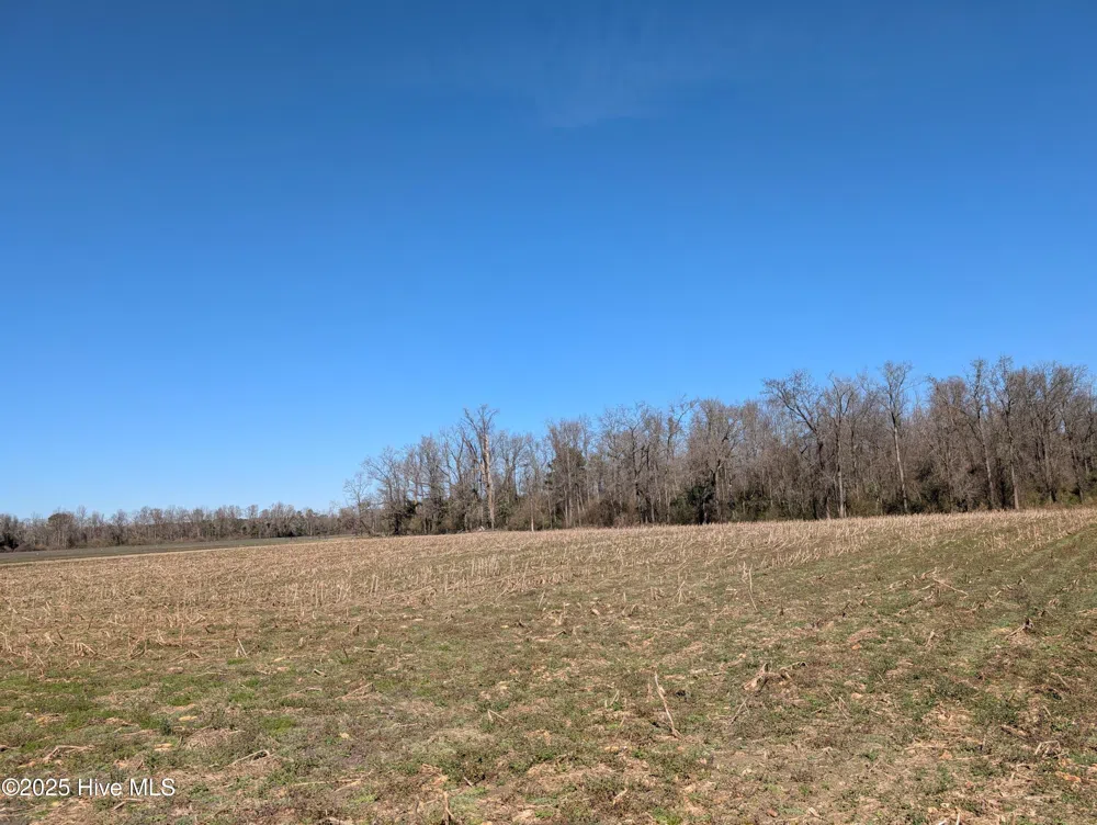 000 Cedar Fork Road Beulaville, NC 28518