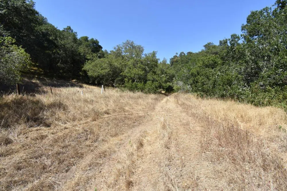 Alexander Lane San Juan Bautista, CA 95045