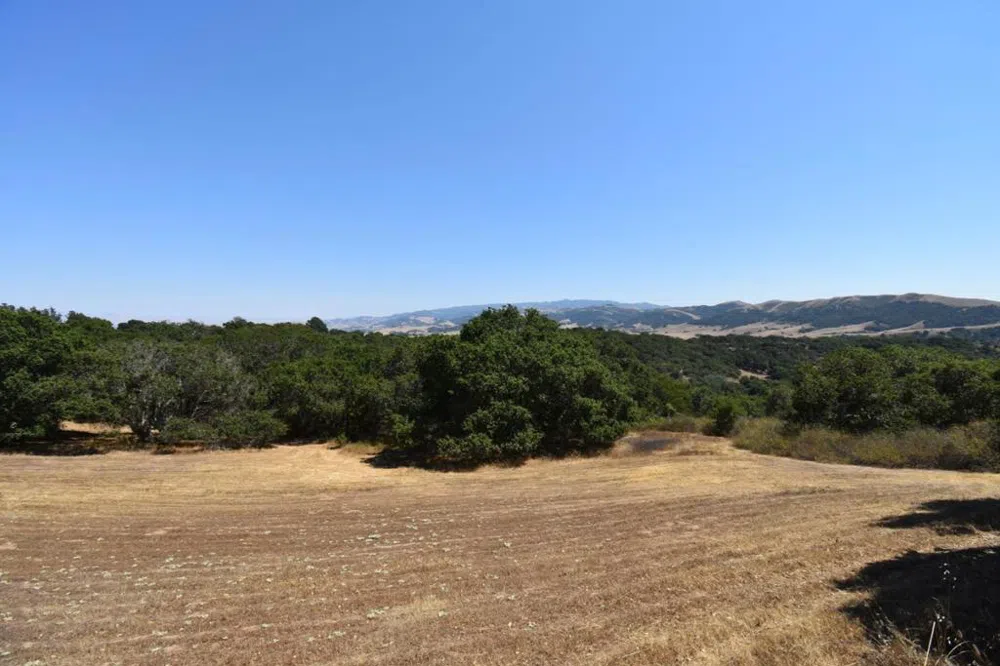 Alexander Lane San Juan Bautista, CA 95045