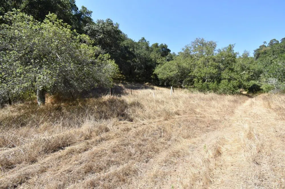 Alexander Lane San Juan Bautista, CA 95045