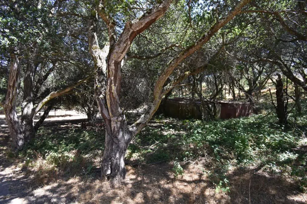 Alexander Lane San Juan Bautista, CA 95045