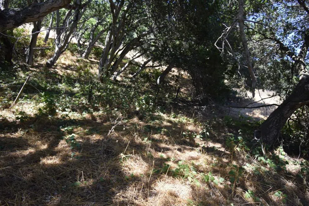 Alexander Lane San Juan Bautista, CA 95045