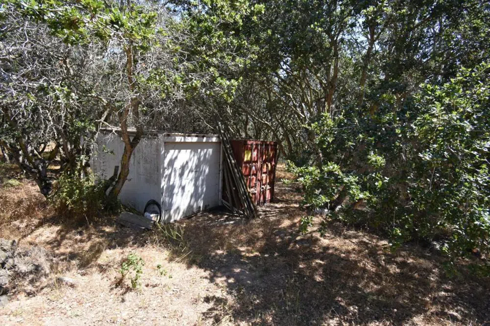 Alexander Lane San Juan Bautista, CA 95045