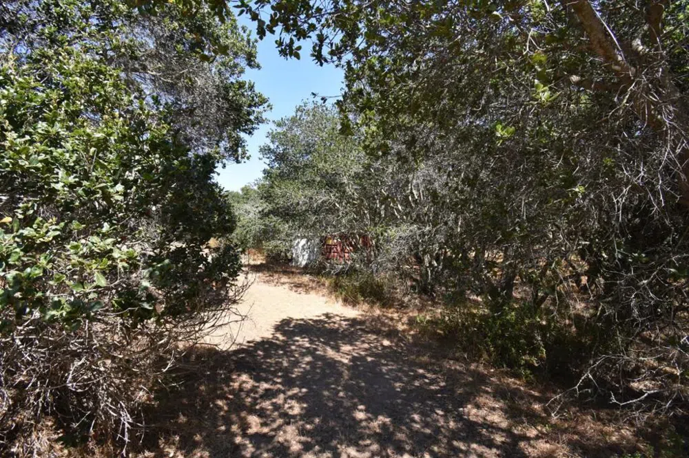 Alexander Lane San Juan Bautista, CA 95045
