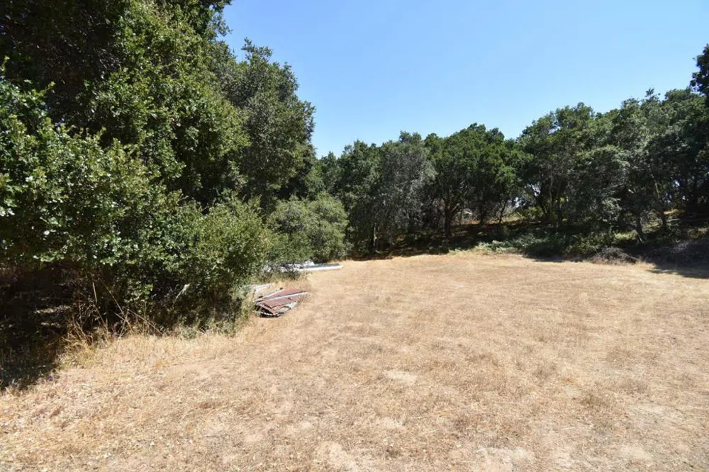 Alexander Lane San Juan Bautista, CA 95045