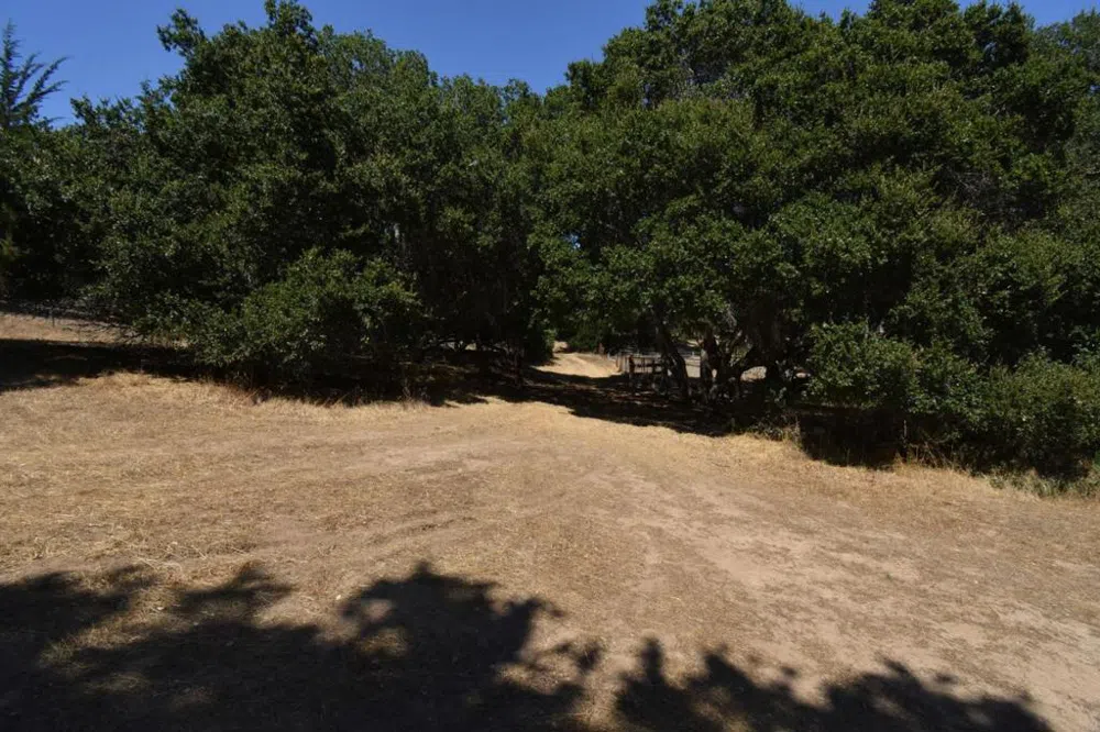 Alexander Lane San Juan Bautista, CA 95045