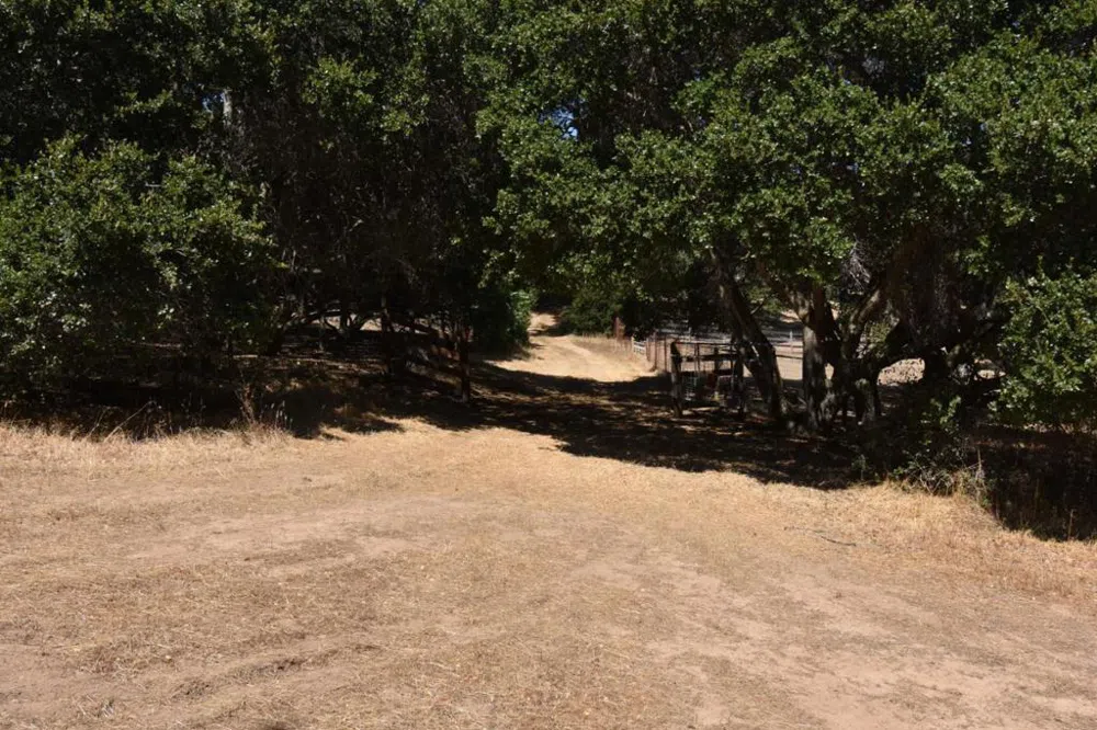 Alexander Lane San Juan Bautista, CA 95045