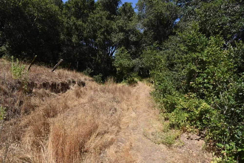 Alexander Lane San Juan Bautista, CA 95045