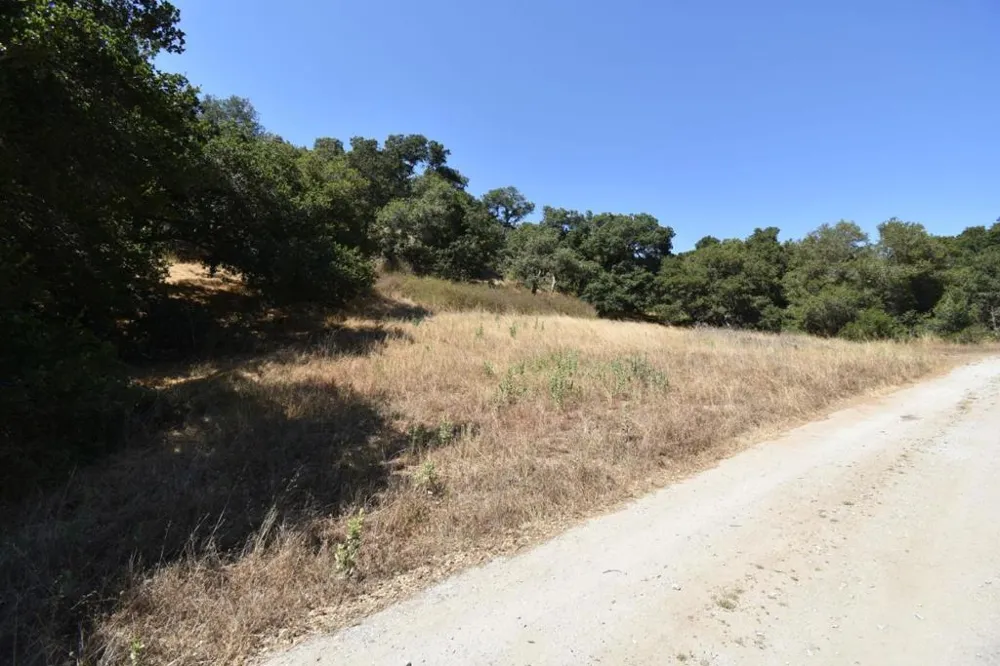 Alexander Lane San Juan Bautista, CA 95045
