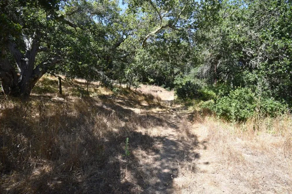 Alexander Lane San Juan Bautista, CA 95045