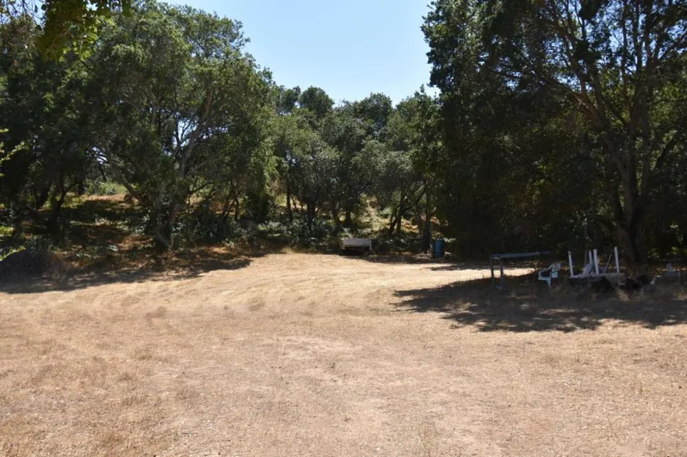 Alexander Lane San Juan Bautista, CA 95045