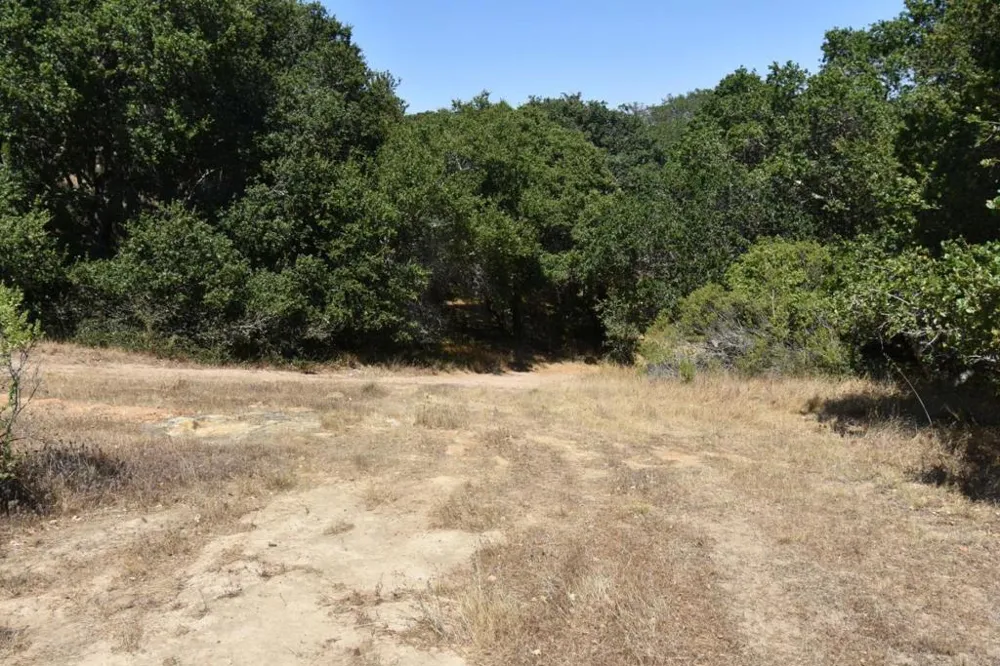 Alexander Lane San Juan Bautista, CA 95045