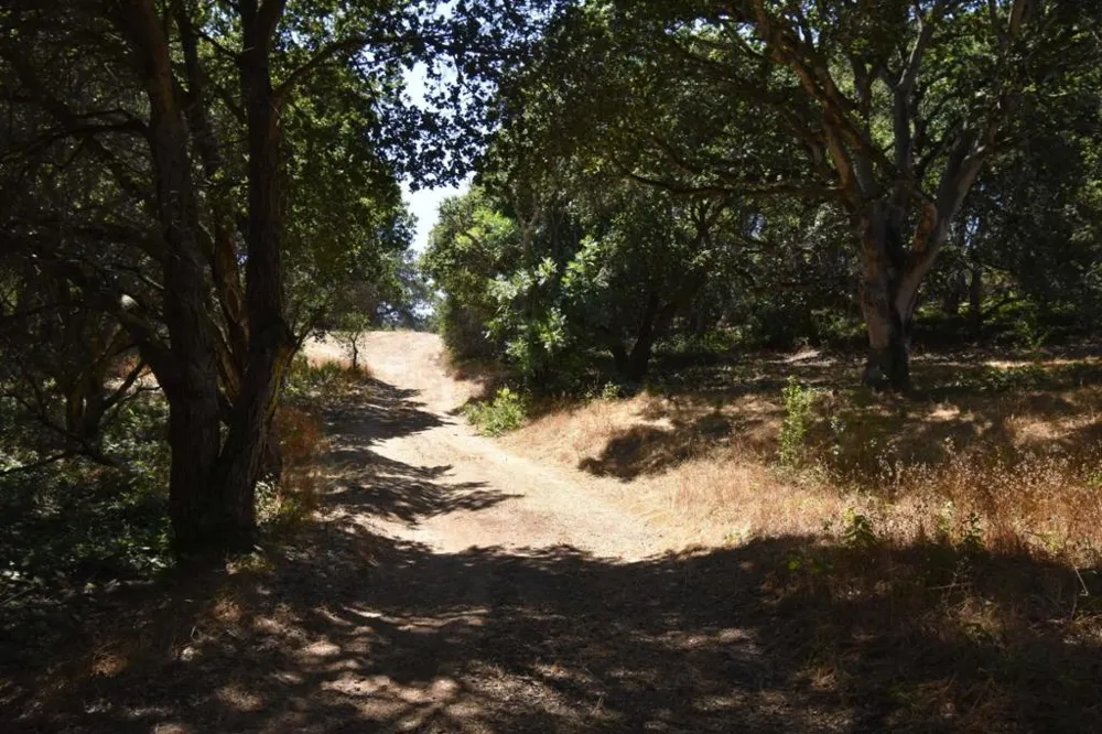 Alexander Lane San Juan Bautista, CA 95045