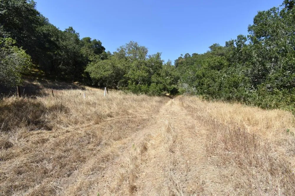 Alexander Lane San Juan Bautista, CA 95045