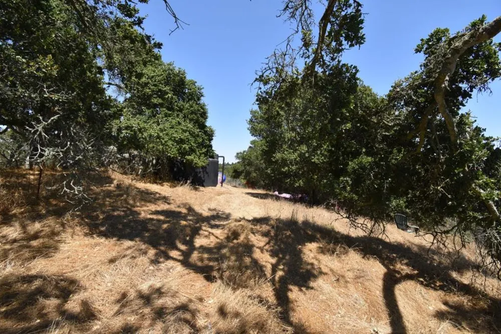 Alexander Lane San Juan Bautista, CA 95045