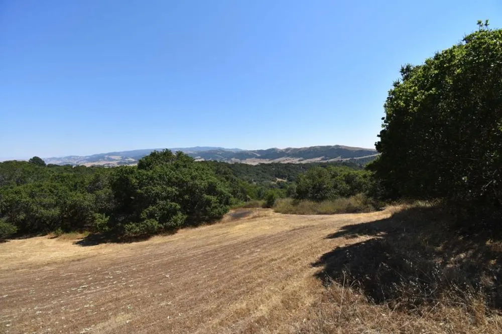 Alexander Lane San Juan Bautista, CA 95045