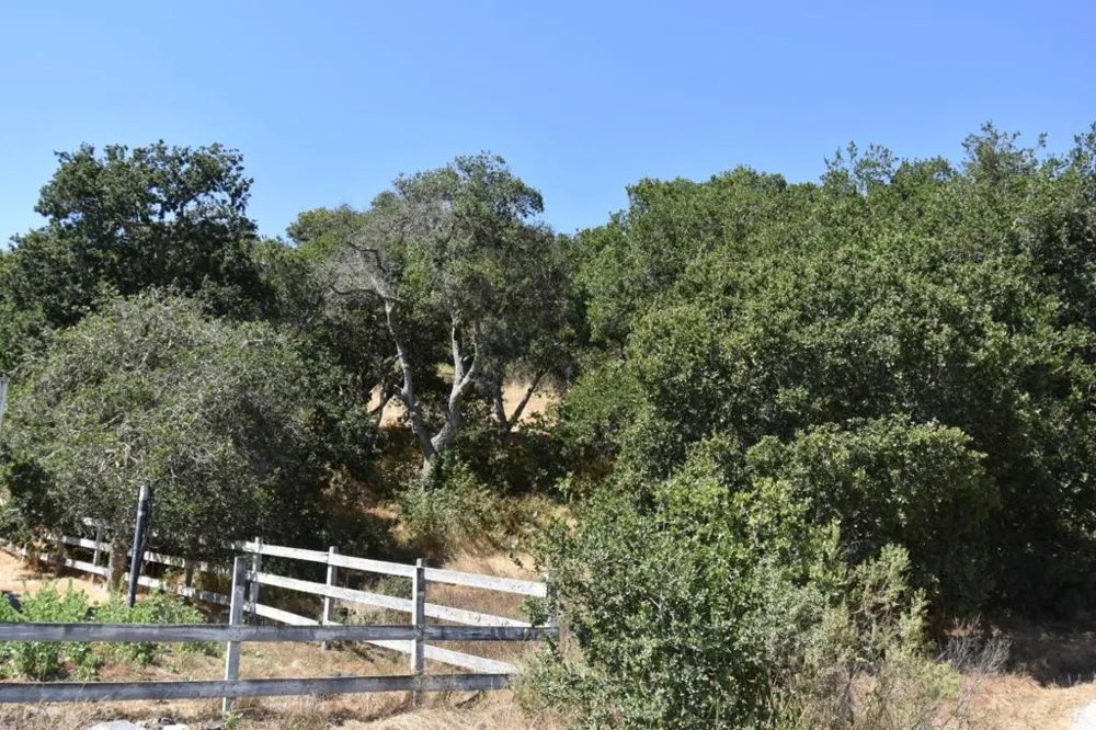 Alexander Lane San Juan Bautista, CA 95045