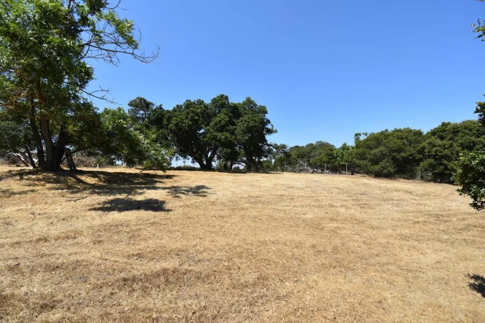 Alexander Lane San Juan Bautista, CA 95045