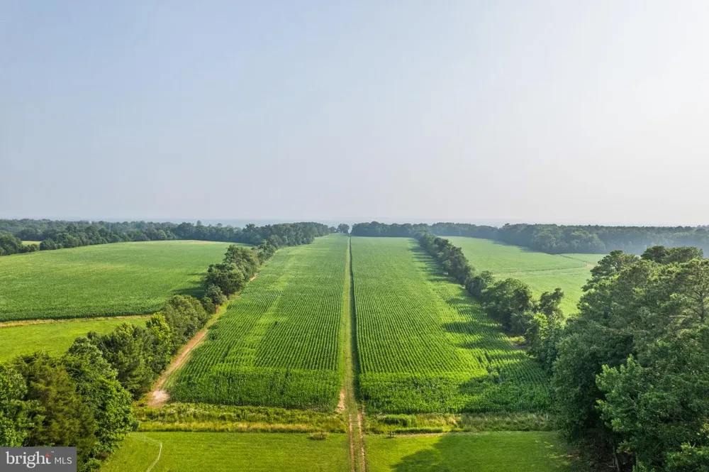 19700 MULBERRY FIELDS ROAD Leonardtown, MD 20650