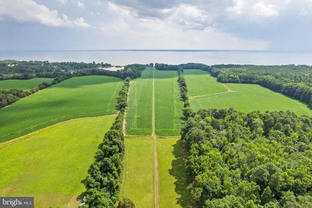 19700 MULBERRY FIELDS ROAD Leonardtown, MD 20650