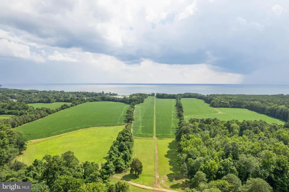 19700 MULBERRY FIELDS ROAD Leonardtown, MD 20650