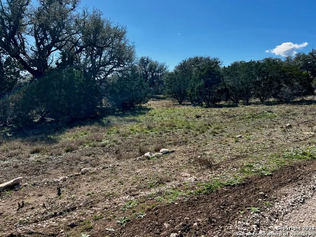 250 Redbud Rd. Concan, TX 78838