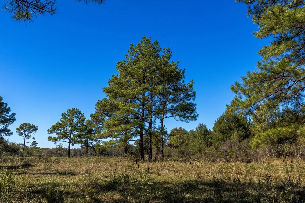Gentry Road Beaumont, TX 77713