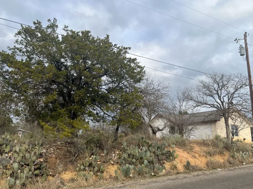 262 W Briarway Drive Granite Shoals, TX 78654