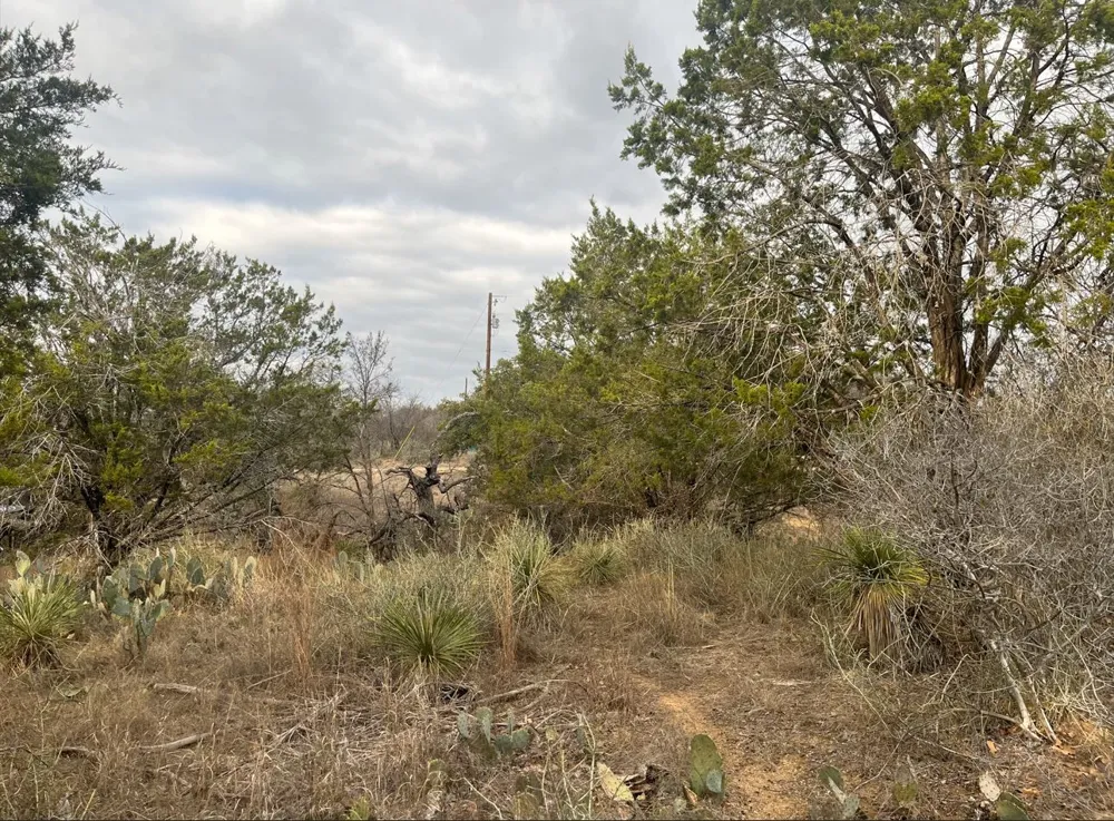 261 W Briarway Drive Granite Shoals, TX 78654