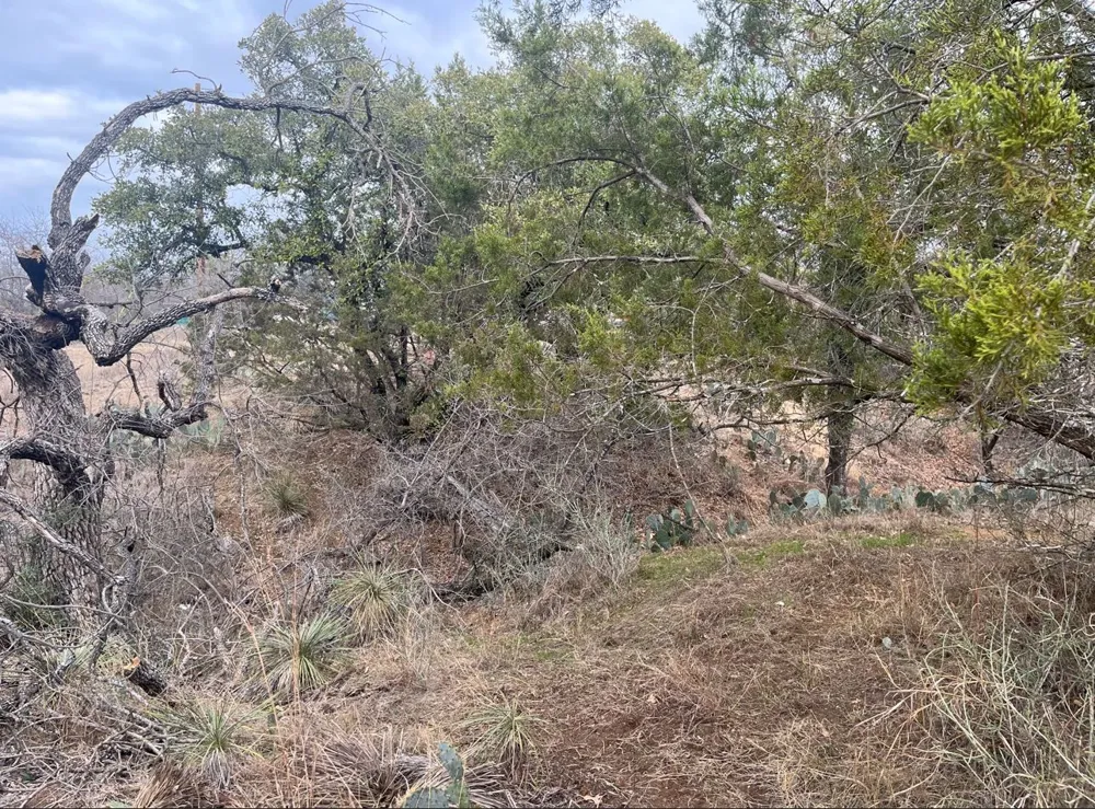 261 W Briarway Drive Granite Shoals, TX 78654