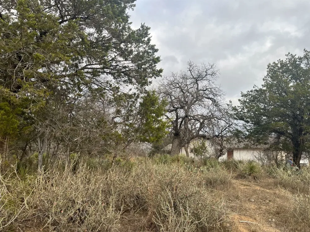 261 W Briarway Drive Granite Shoals, TX 78654