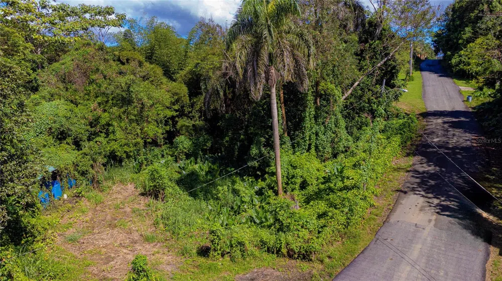 URB. HACIENDAS DEL DORADO CALLE GUAYACAN A30 Toa Alta, PR 00953