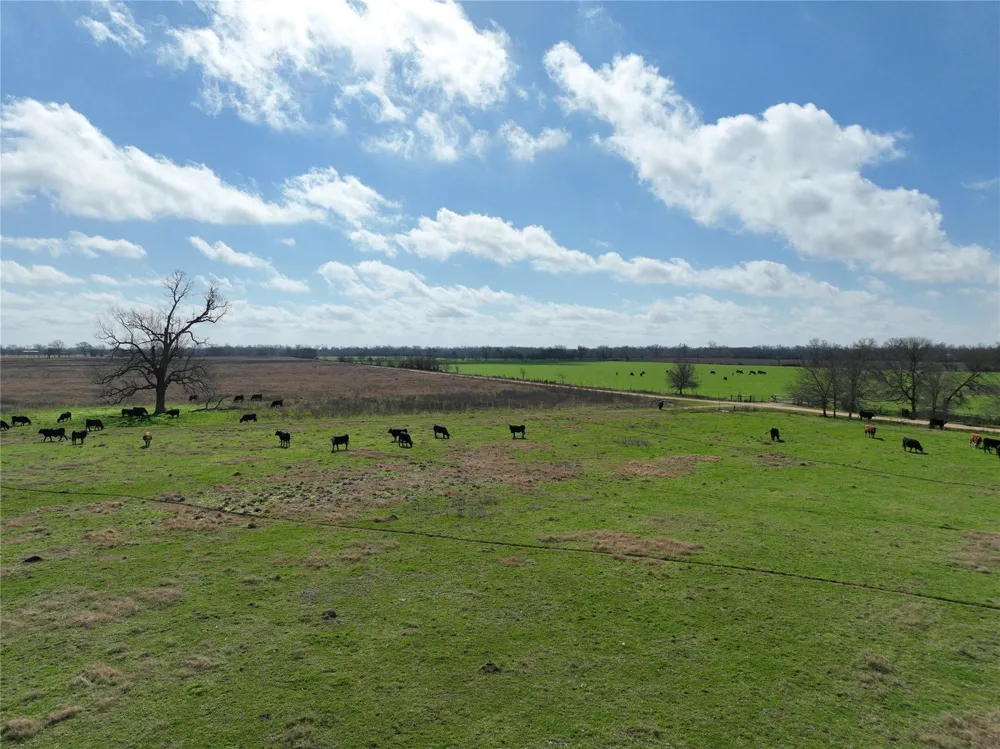 Fm 331 Bellville, TX 77418