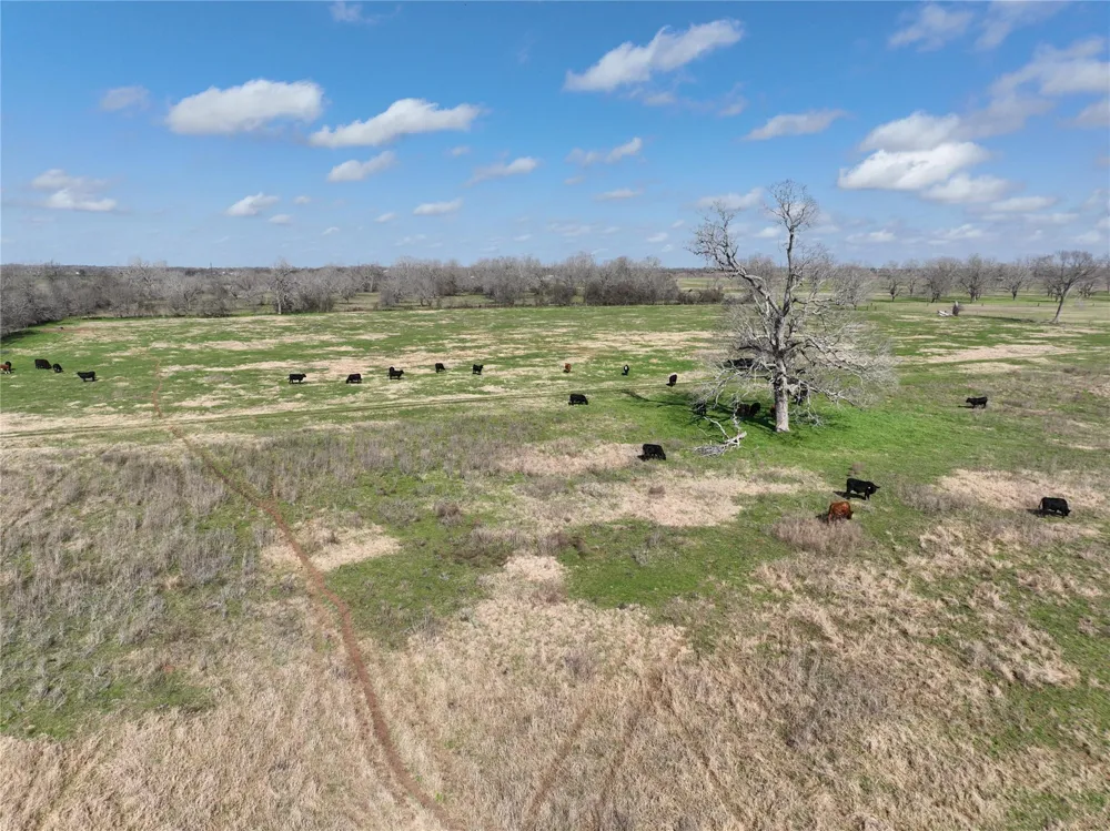 Fm 331 Bellville, TX 77418