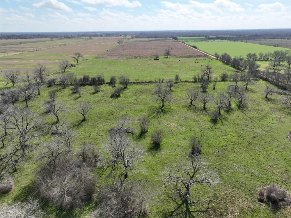 Fm 331 Bellville, TX 77418