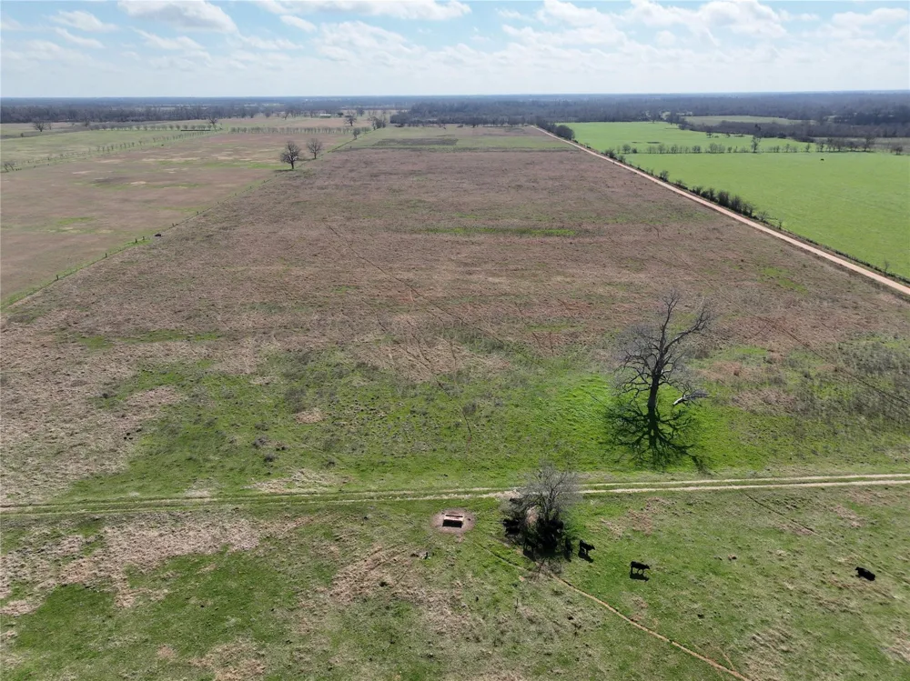 Fm 331 Bellville, TX 77418