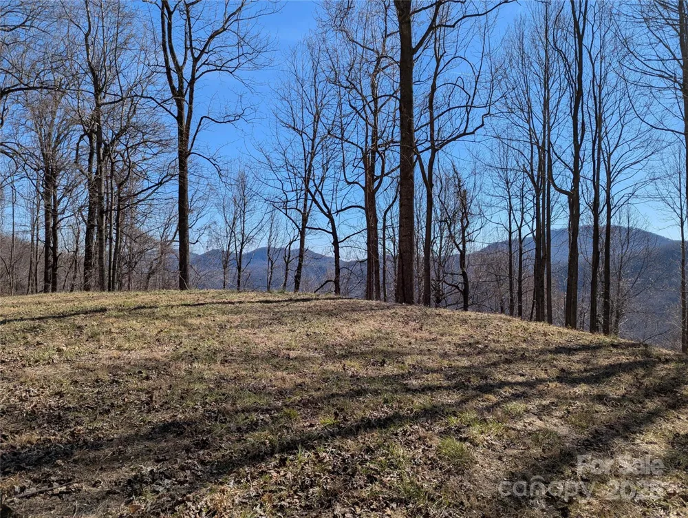 501 Warbler Lane #T-62 Black Mountain, NC 28711