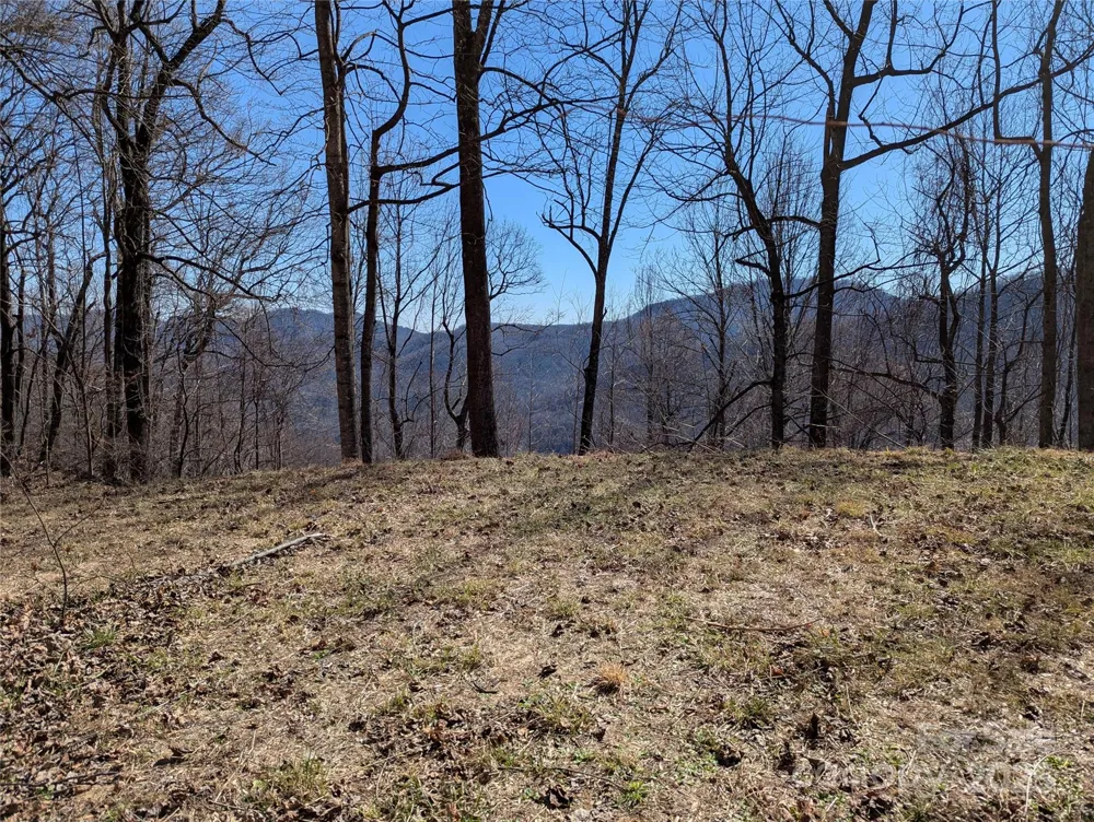 501 Warbler Lane #T-62 Black Mountain, NC 28711