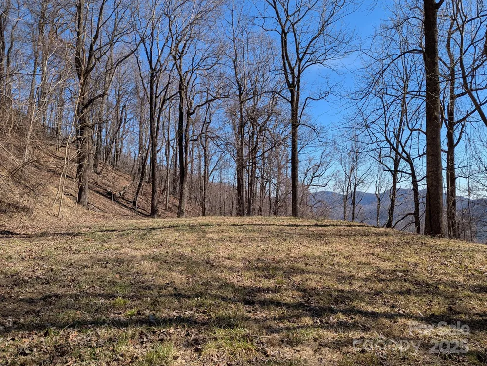 501 Warbler Lane #T-62 Black Mountain, NC 28711